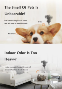 臭氧空氣凈化器,暢銷臭氧發(fā)生器,空氣凈化，異味祛除